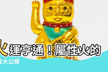 【屬性火的行業】火運亨通！屬性火的行業大公開