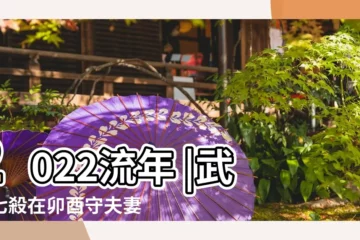 【流年夫妻宮武殺】2022流年 |武曲七殺在卯酉守夫妻宮 |廉貞貪狼坐巳亥 |