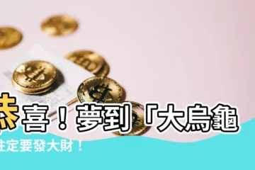 【夢見大烏龜】恭喜！夢到「大烏龜」註定要發大財！