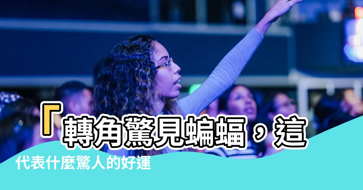 【看到蝙蝠代表什麼】「轉角驚見蝙蝠，這代表什麼驚人的好運？」