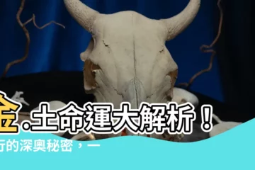 【金 土 五行】金.土命運大解析！五行的深奧秘密，一文搞懂！