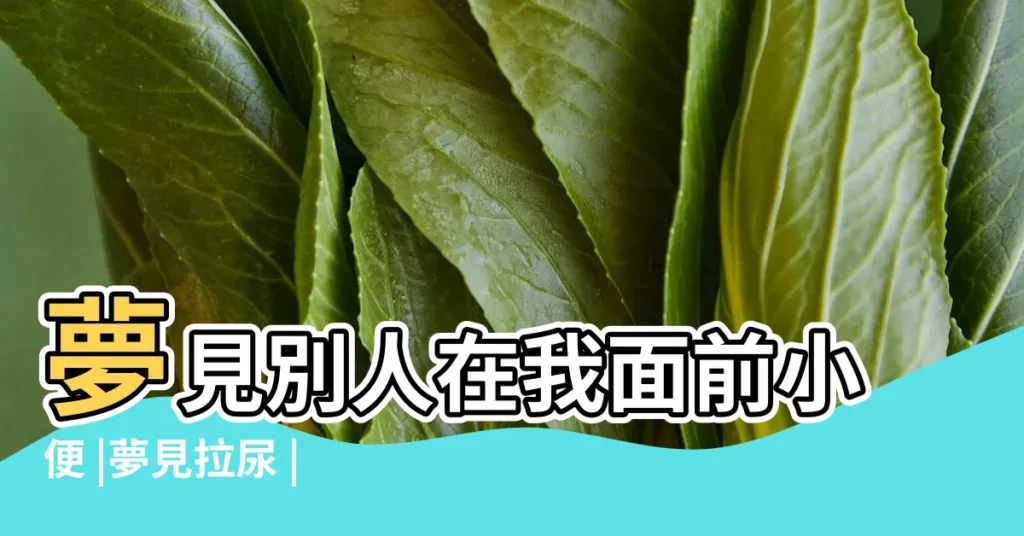 夢見別人在我面前小便 |夢見拉尿 |夢見男人撒尿 |【夢見男人在自己家拉尿】