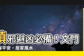 【文門神】鎮邪避兇必備！文門神保平安，居家風水添守護