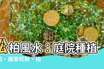 【松柏風水】松柏風水：庭院種植松柏，護家旺財、招好運