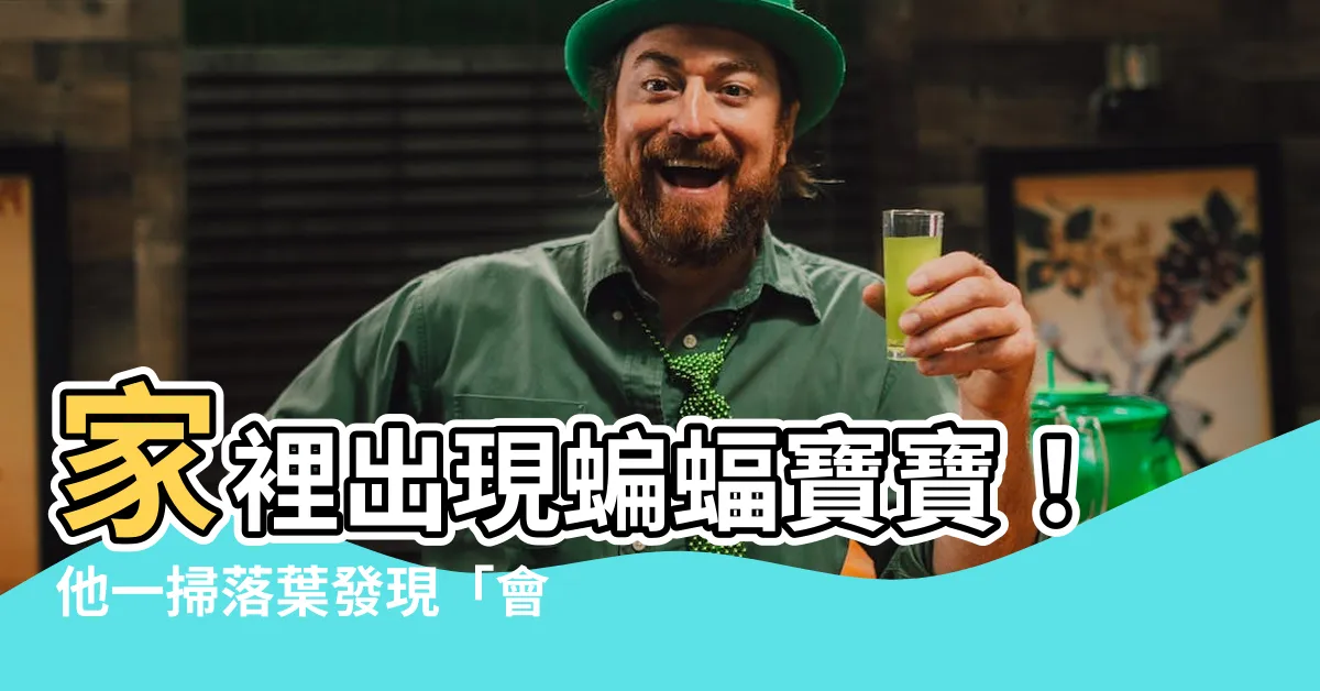 【家裡出現蝙蝠寶寶】家裡出現蝙蝠寶寶！他一掃落葉發現「會爬」嚇歪急求助