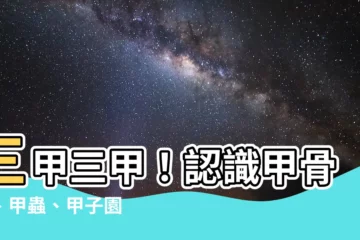 【三個甲】三甲三甲！認識甲骨文、甲蟲、甲子園
