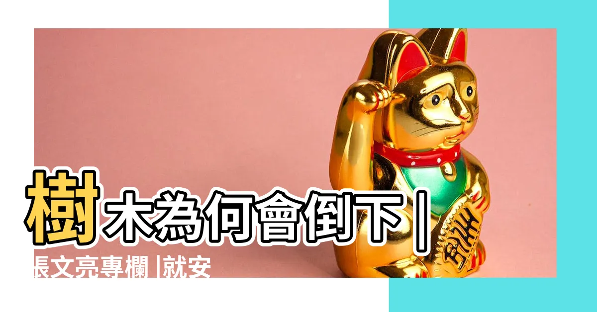 【大樹倒】樹木為何會倒下 |張文亮專欄 |就安全了 |