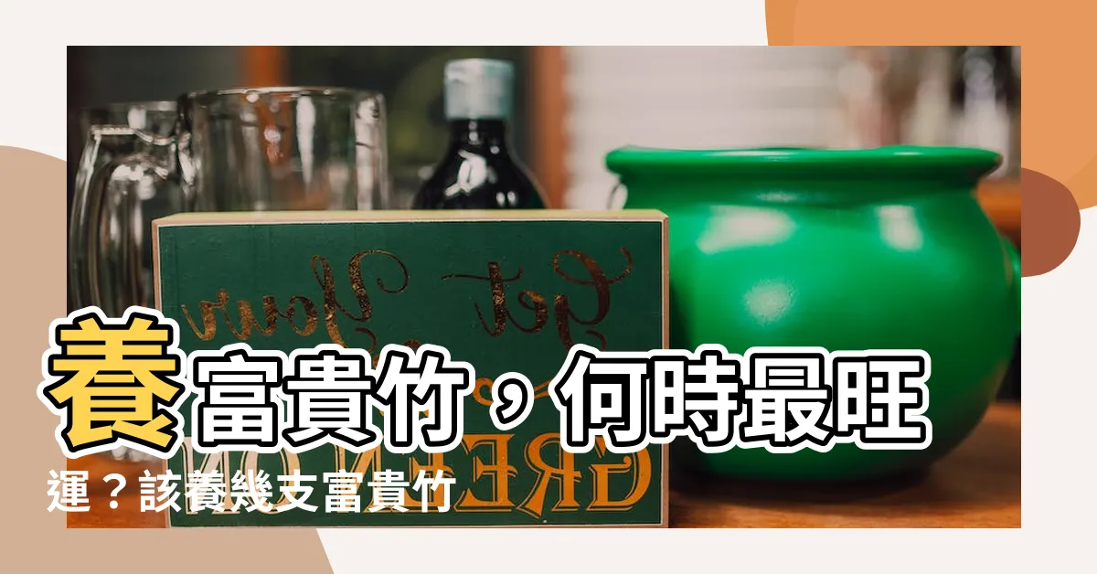【富貴竹養幾支】養富貴竹，何時最旺運？該養幾支富貴竹最好？