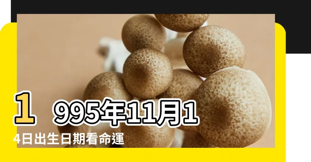 1995年11月14日出生日期看命運 |是什麼星座啊 |請問1995年農曆11月14日出生的是什麼星座 |【1995年11月14陰曆什麼星座】