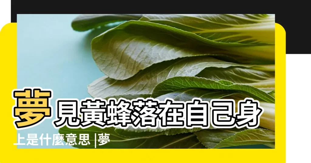 夢見黃蜂落在自己身上是什麼意思 |夢見大黃蜂在自己身上是什麼意思 |夢見大黃蜂 |【夢自己身上好多黃蜂】