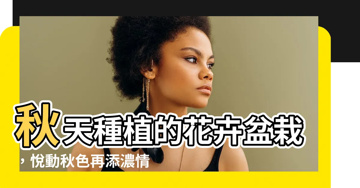 【秋天種什麼花】秋天種植的花卉盆栽，悦動秋色再添濃情