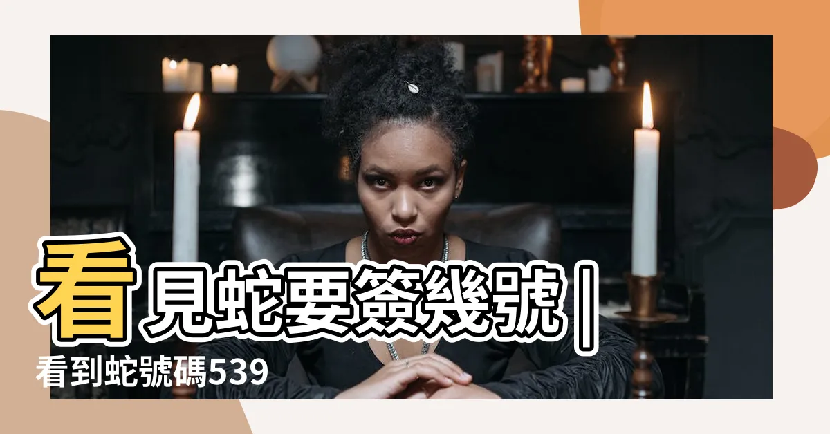 【看到蛇幾號】看見蛇要簽幾號 |看到蛇號碼539 |看到蛇號碼539怎麼簽 |