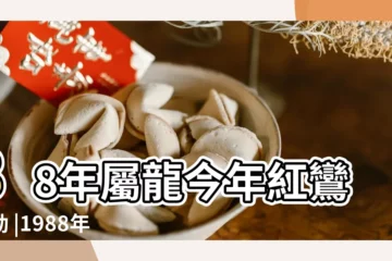 【2O19年88年的運勢如何】88年屬龍今年紅鸞星動 |1988年屬龍2019年運勢精解 |1988年屬龍的人2019年運程 |