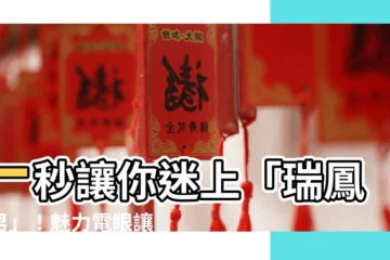 【瑞鳳眼男】一秒讓你迷上「瑞鳳眼男」！魅力電眼讓高官、女星都難擋