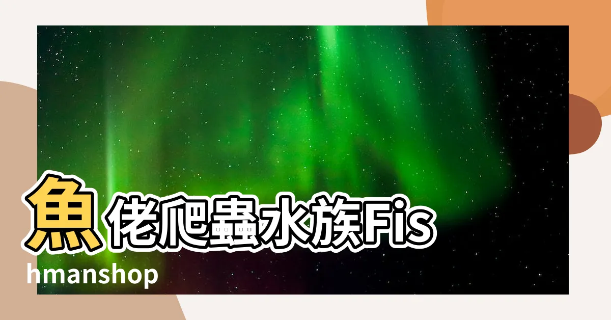 【奧丁石龍子】魚佬爬蟲水族Fishmanshop |奧丁石龍子 |skinks |