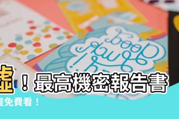 【噓一級機密報告書漫畫線上看】噓！最高機密報告書漫畫免費看！
