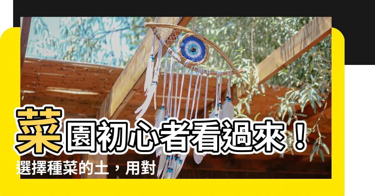 【種菜的土】菜園初心者看過來！選擇種菜的土，用對方法種出鮮甜蔬果