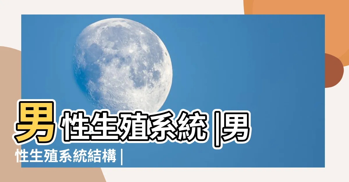 【男人生殖器官】男性生殖系統 |男性生殖系統結構 |男性生殖系統 |