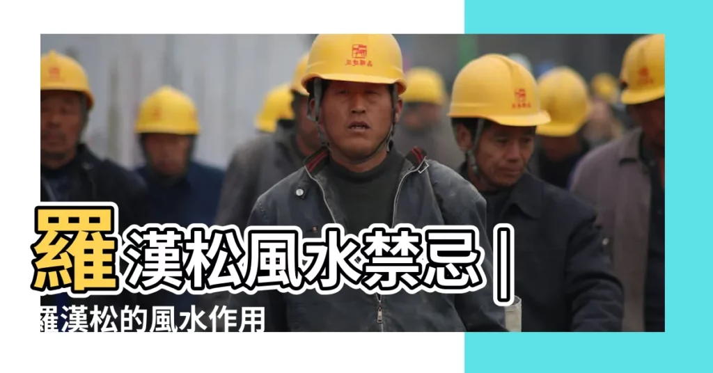 羅漢松風水禁忌 |羅漢松的風水作用 |信不信由您 |【羅漢松風水】