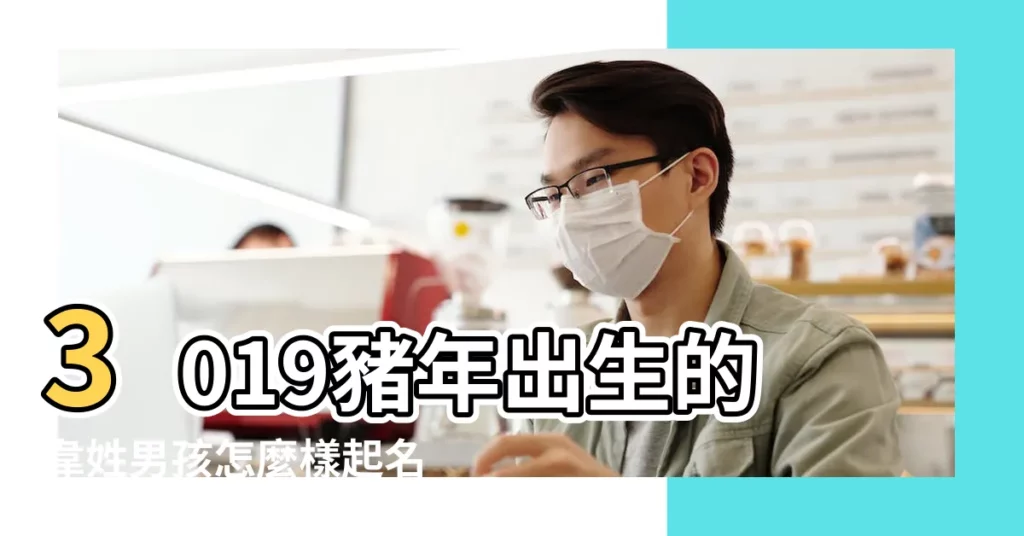 3019豬年出生的韋姓男孩怎麼樣起名字 |姓韋中間帶海字輩男孩名 |姓韋男孩好名推薦 |【2019年3月份生韋姓男孩取名】