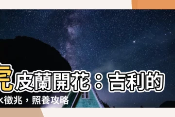 【虎皮蘭開花風水】虎皮蘭開花：吉利的風水徵兆，照養攻略一次看！