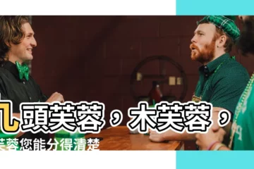 【九頭芙蓉】九頭芙蓉，木芙蓉，山芙蓉您能分得清楚嗎？