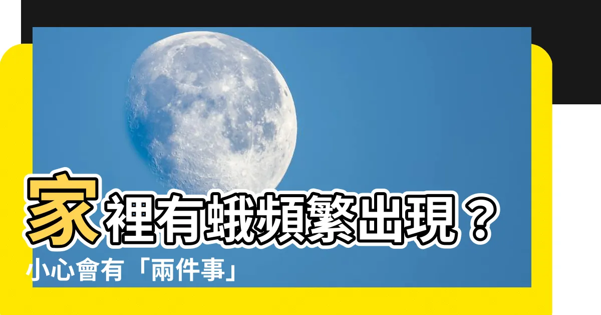 【家裏有蛾】家裡有蛾頻繁出現？小心會有「兩件事」發生！