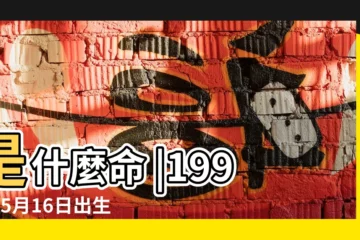 【1994年5月生日是什麼命】是什麼命 |1994年5月16日出生時間看命運 |1994年5月25日出生的人命好嗎 |