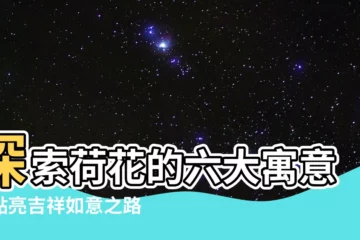 【荷花的寓意】探索荷花的六大寓意，點亮吉祥如意之路！