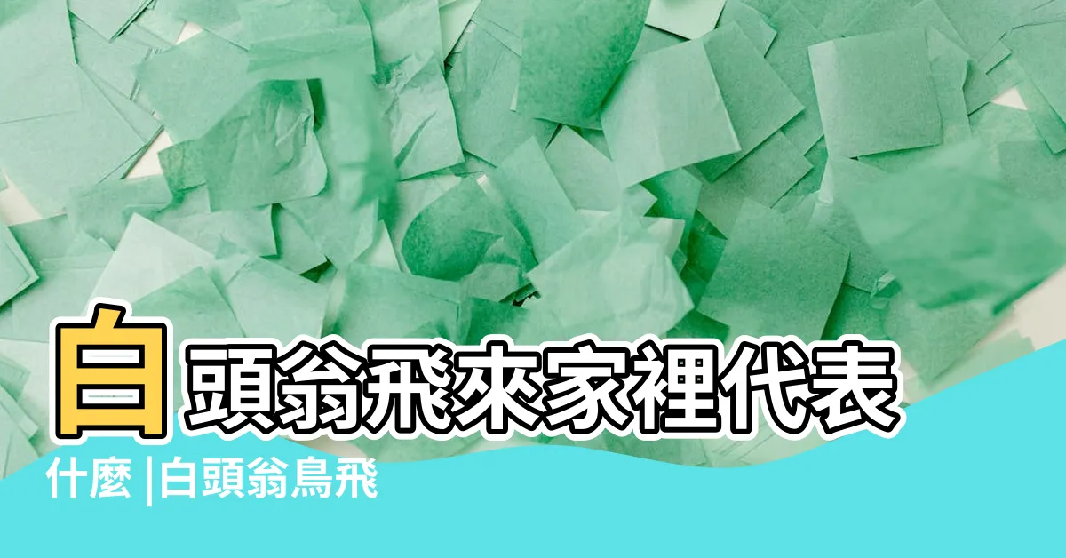 【白頭翁預兆】白頭翁飛來家裡代表什麼 |白頭翁鳥飛進屋什麼預兆 |種動物的預像 |