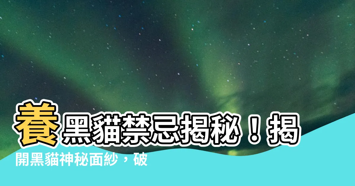 【養黑貓禁忌】養黑貓禁忌揭秘！揭開黑貓神秘面紗，破解迷信