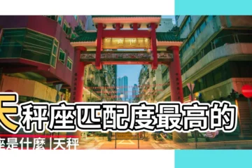 【天秤座的最佳搭配】天秤座匹配度最高的星座是什麼 |天秤座和什麼星座最配天秤座最佳配對表 |天秤座和什麼星座最配 |