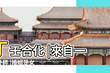 【女人丁壬合官】丁壬合化 |來自一字卦師 |婚姻是女 |