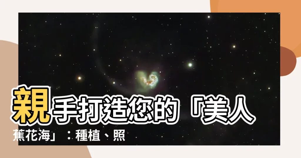 【美人蕉】親手打造您的「美人蕉花海」：種植、照護完整指南