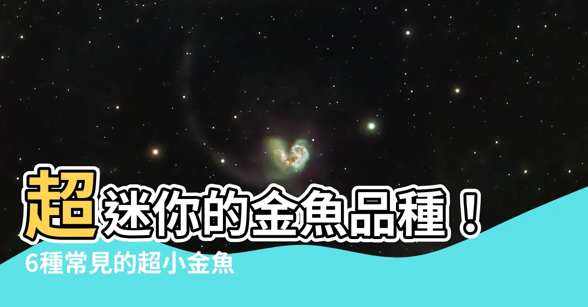【迷你金魚品種】超迷你的金魚品種！6種常見的超小金魚一次看