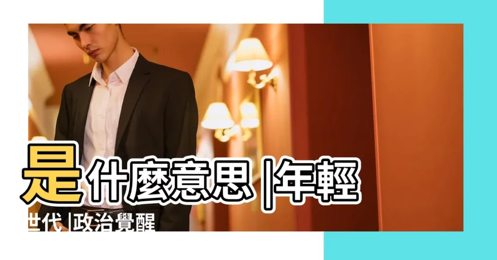 是什麼意思 |年輕世代 |政治覺醒 |【2017年意義什麼】