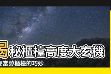 【櫃枱 高度】揭秘櫃枱高度大玄機：麥當勞櫃枱的巧妙設計