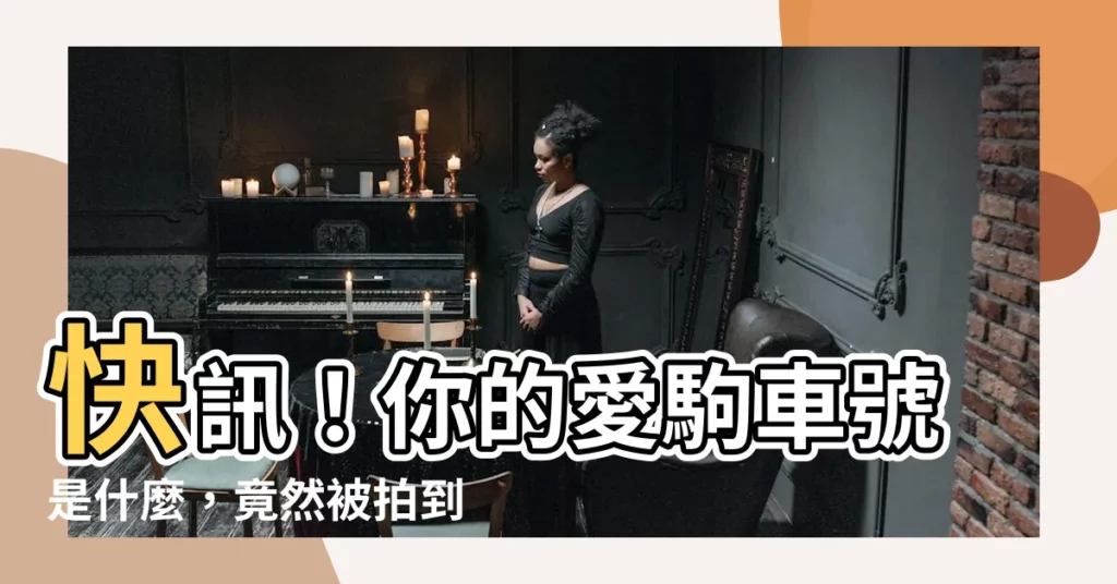 【車號是什麼】快訊！你的愛駒車號是什麼，竟然被拍到了？
