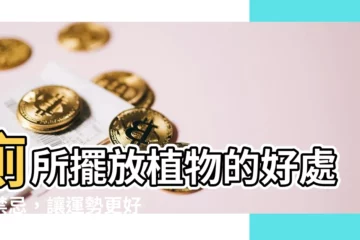 【廁所植物 風水】廁所擺放植物的好處與禁忌，讓運勢更好！