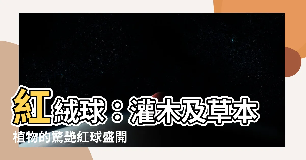 【紅絨球】紅絨球:灌木及草本植物的驚艷紅球盛開時光!