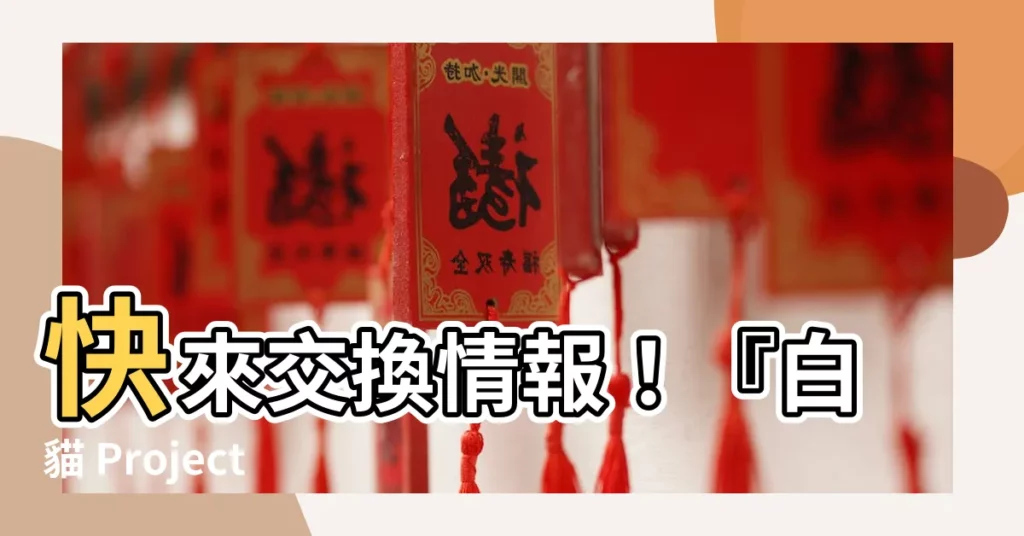 【白貓】快來交換情報！『白貓 Project』專屬哈啦