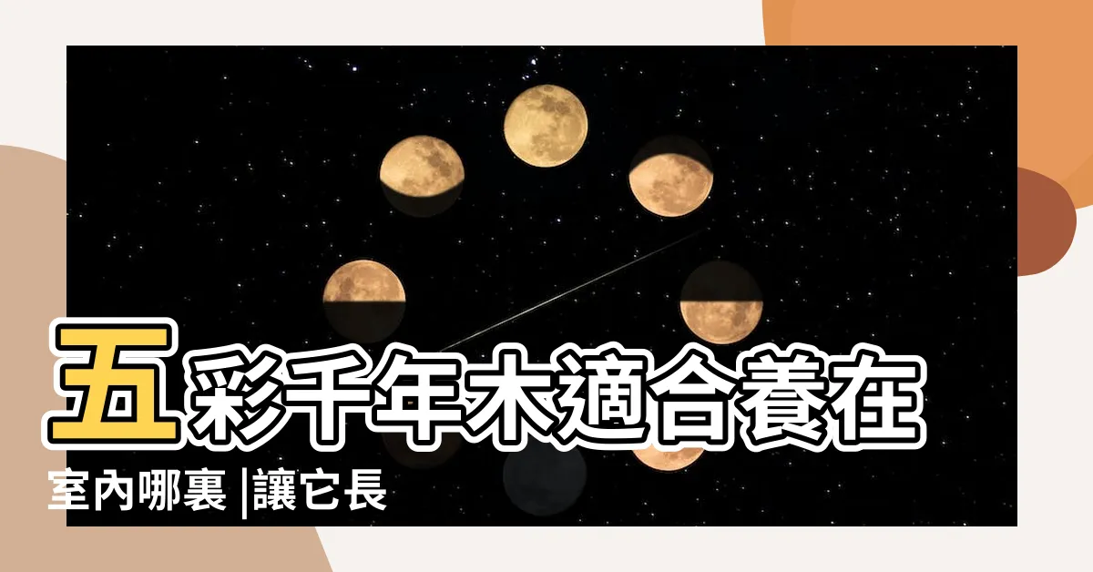 【五彩千年木繁殖】五彩千年木適合養在室內哪裏 |讓它長得更健康 |五彩千年木怎麼繁殖 |