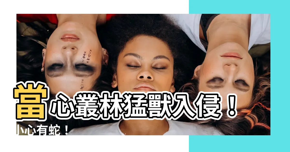 【小心有蛇】當心叢林猛獸入侵！小心有蛇！