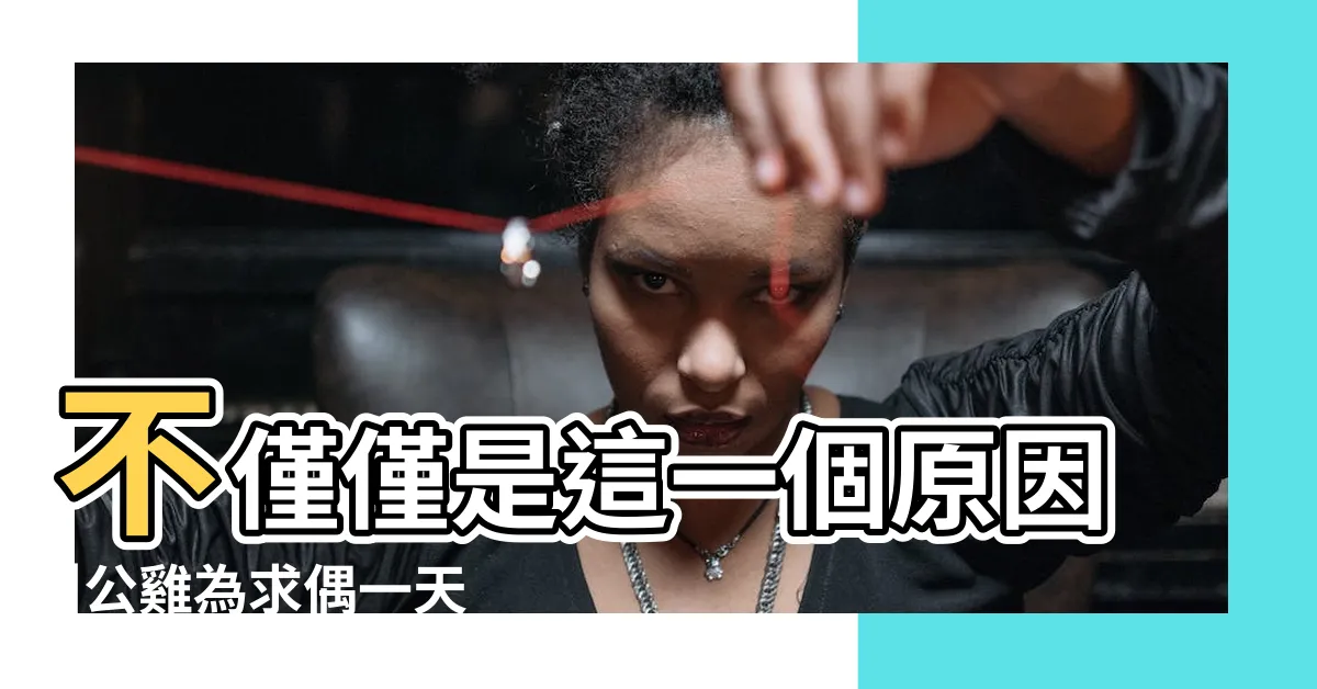 【公雞求偶】不僅僅是這一個原因 |公雞為求偶一天打鳴200次 |主人被鄰居告上法庭 |