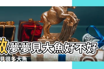 【夢見好多好大的魚】做夢夢見大魚好不好 |夢見很多大魚 |夢見超大的魚 |