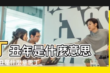 【2018年丁丑什麼意思】丁丑年是什麼意思 |丁丑是什麼意思丁丑可以代表什麼 |