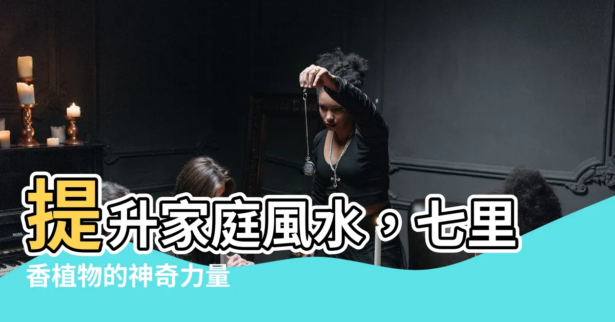 【七里香植物風水】提升家庭風水，七里香植物的神奇力量