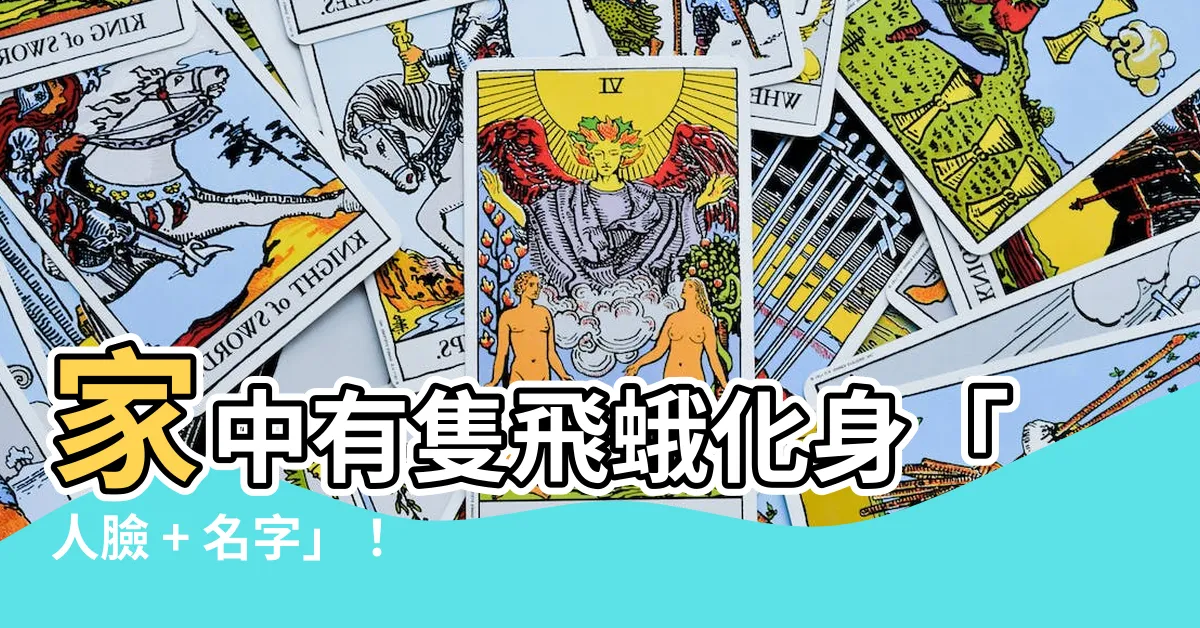 【一隻飛蛾】家中有隻飛蛾化身「人臉 + 名字」！夜半驚現令人毛骨悚然
