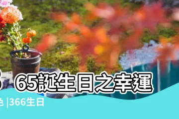 【12月24日顏色】365誕生日之幸運顏色 |366生日色 |幸運數字幸運顏色是什麼 |