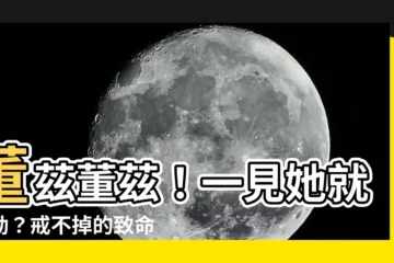 【董茲董茲】董茲董茲！一見她就心動？戒不掉的致命魅力揭密